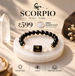 Scorpio/ Vrishchik Rashi Zodiac (Financial Success + Focus)