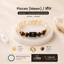 Pisces/Meen Rashi Zodiac (Citrine & Tiger Eye Bracelet)